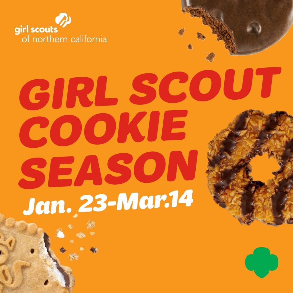 mosque-girl-scout-cookies