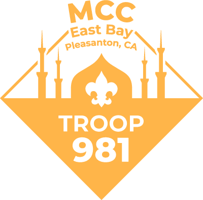 T981-Logo